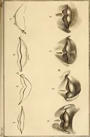 An illustration from Essays on physiognomy; calculated to extend the knowledge and the love of mankind (1797)