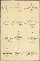 Picture 98 of 114 from Essays on physiognomy; calculated to extend the knowledge and the love of mankind (1797), leaf 478