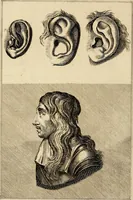 An illustration from Essays on physiognomy; calculated to extend the knowledge and the love of mankind (1797)