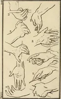 An illustration from Essays on physiognomy; calculated to extend the knowledge and the love of mankind (1797)