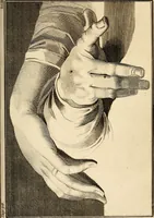 An illustration from Essays on physiognomy; calculated to extend the knowledge and the love of mankind (1797)