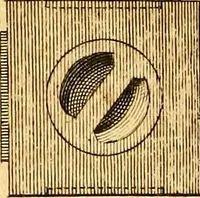 An illustration from Essays, political, economical, and philosophical (1796)