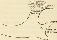 An illustration from Essays and studies presented to William Ridgeway on his sixtieth birthday, 6 August 1913 (1914)