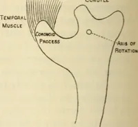 An illustration from Essays and studies presented to William Ridgeway on his sixtieth birthday, 6 August 1913 (1914)