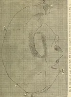 An illustration from Essays and studies presented to William Ridgeway on his sixtieth birthday, 6 August 1913 (1914)