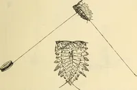 An illustration from Essays and studies presented to William Ridgeway on his sixtieth birthday, 6 August 1913 (1914)