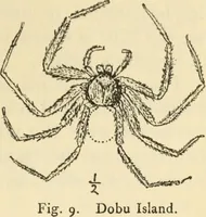 An illustration from Essays and studies presented to William Ridgeway on his sixtieth birthday, 6 August 1913 (1914)
