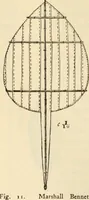 An illustration from Essays and studies presented to William Ridgeway on his sixtieth birthday, 6 August 1913 (1914)