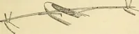 An illustration from Essays and studies presented to William Ridgeway on his sixtieth birthday, 6 August 1913 (1914)