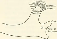 An illustration from Essays and studies presented to William Ridgeway on his sixtieth birthday, 6 August, 1913 (1913)