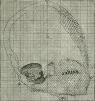 An illustration from Essays and studies presented to William Ridgeway on his sixtieth birthday, 6 August, 1913 (1913)