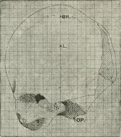 An illustration from Essays and studies presented to William Ridgeway on his sixtieth birthday, 6 August, 1913 (1913)