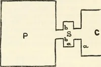 An illustration from Essays and studies presented to William Ridgeway on his sixtieth birthday, 6 August, 1913 (1913)