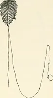 An illustration from Essays and studies presented to William Ridgeway on his sixtieth birthday, 6 August, 1913 (1913)