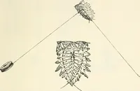 An illustration from Essays and studies presented to William Ridgeway on his sixtieth birthday, 6 August, 1913 (1913)