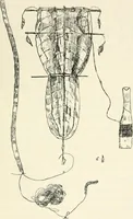 An illustration from Essays and studies presented to William Ridgeway on his sixtieth birthday, 6 August, 1913 (1913)