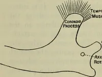 An illustration from Essays and studies presented to William Ridgeway on his sixtieth birthday, 6 August 1913 (1914)