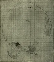 An illustration from Essays and studies presented to William Ridgeway on his sixtieth birthday, 6 August 1913 (1914)