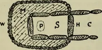An illustration from Essays and studies presented to William Ridgeway on his sixtieth birthday, 6 August 1913 (1914)