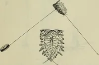 An illustration from Essays and studies presented to William Ridgeway on his sixtieth birthday, 6 August 1913 (1914)