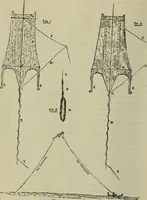 An illustration from Essays and studies presented to William Ridgeway on his sixtieth birthday, 6 August 1913 (1914)