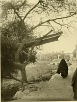 An illustration from Essays and studies presented to William Ridgeway : on his sixtieth birthday, 6 August, 1913 (1913)