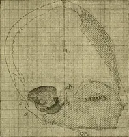 An illustration from Essays and studies presented to William Ridgeway : on his sixtieth birthday, 6 August, 1913 (1913)