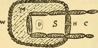 An illustration from Essays and studies presented to William Ridgeway : on his sixtieth birthday, 6 August, 1913 (1913)