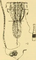 An illustration from Essays and studies presented to William Ridgeway : on his sixtieth birthday, 6 August, 1913 (1913)