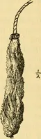 An illustration from Essays and studies presented to William Ridgeway : on his sixtieth birthday, 6 August, 1913 (1913)