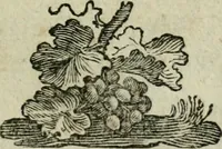 An illustration from Essays sur la recherche de la cause pour laquelle l'Estain [et] le Plomb augmentent de poids qunad on les calcine (1777)