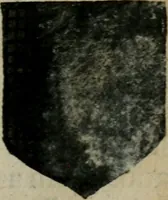 An illustration from An essay to heraldry in two parts. The first containing ... the body of heraldry: the second, honour civil and military; being a treatise of the nobility and gentry of England ... The whole illustrated with variety of ... sculptures .. (1684)