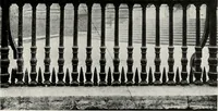 An illustration from Essentials in architecture : an analysis of the principles & qualities to be looked for in buildings (1907)