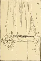 An illustration from The essentials of aesthetics in music, poetry, painting, sculpture and architecture (1909)