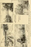 An illustration from The essentials of aesthetics in music, poetry, painting, sculpture and architecture (1909)