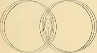 An illustration from The essentials of aesthetics in music, poetry, painting, sculpture and architecture (1909)