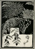 Picture 31 of 57 from The essentials of illustration, a practical guide to the reproduction of drawings & photographs for the use of scientists & others (1915), leaf 103
