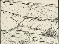 An illustration from The essentials of illustration, a practical guide to the reproduction of drawings & photographs for the use of scientists & others (1915)