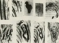 An illustration from The essentials of illustration, a practical guide to the reproduction of drawings & photographs for the use of scientists & others (1915)