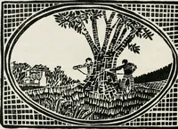 An illustration from The essentials of illustration, a practical guide to the reproduction of drawings & photographs for the use of scientists & others (1915)