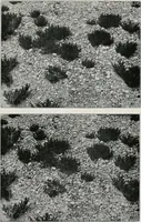 Picture 14 of 57 from The essentials of illustration, a practical guide to the reproduction of drawings & photographs for the use of scientists & others (1915), leaf 68