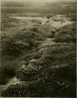 An illustration from The essentials of illustration, a practical guide to the reproduction of drawings & photographs for the use of scientists & others (1915)
