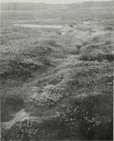 Picture 18 of 57 from The essentials of illustration, a practical guide to the reproduction of drawings & photographs for the use of scientists & others (1915), leaf 80