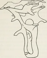 An illustration from The essentials of illustration, a practical guide to the reproduction of drawings & photographs for the use of scientists & others (1915)