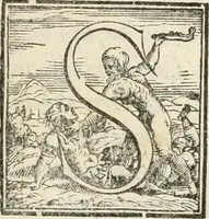 An illustration from Esseqvie della Sacra Cattolica, e Real Maesta di Margherita d'Avstria regina di Spagna, : celebrate dal serenissimo don Cosimo II. gran duca di Toscana IIII (1612)