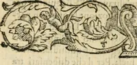 An illustration from Esseqvie dell'illvstre sig.nor Alessandro abate Pvcci : celebrate in Fiorenza con diuota pompa per l'anima sua nella chiesa della Nunziata : dalli molto reuerendi padri de Serui il dì primo di settembre (1601)