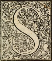 An illustration from Esseqvie del serenissimo don Francesco Medici, gran duca di Toscana II (1587)