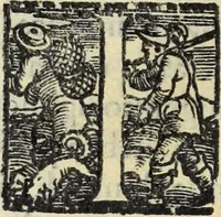 Picture 28 of 64 from Essercitio et ammaestramento del bvon christiano : dove si tratta de gli articoli della fede, de' diece precetti della legge, dell'Oratione, della Confessione, & della Communione (1568), leaf 59