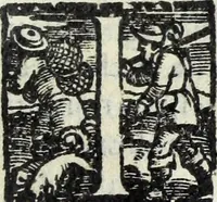 Picture 31 of 64 from Essercitio et ammaestramento del bvon christiano : dove si tratta de gli articoli della fede, de' diece precetti della legge, dell'Oratione, della Confessione, & della Communione (1568), leaf 70