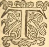 An illustration from Essex dove, presenting the world with a few of her olive branches : or, a taste of the workes of ... John Smith ... delivered in three severall treatises .. (1626)